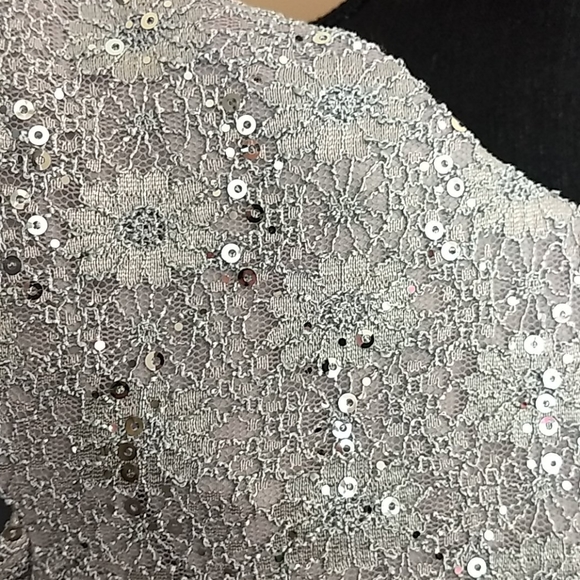 NWT Alex Evenings Dress Dove Gray‎ Silver - Gray Formal Dress - Picture 9 of 16